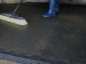 The Advantages of Rubber Stable Mats - Equifloor UK
