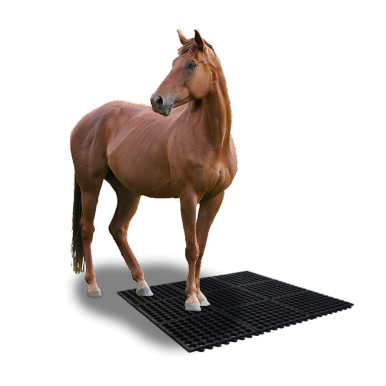 Horse Rubber Stable Mats UK Interlocking Stable Floor
